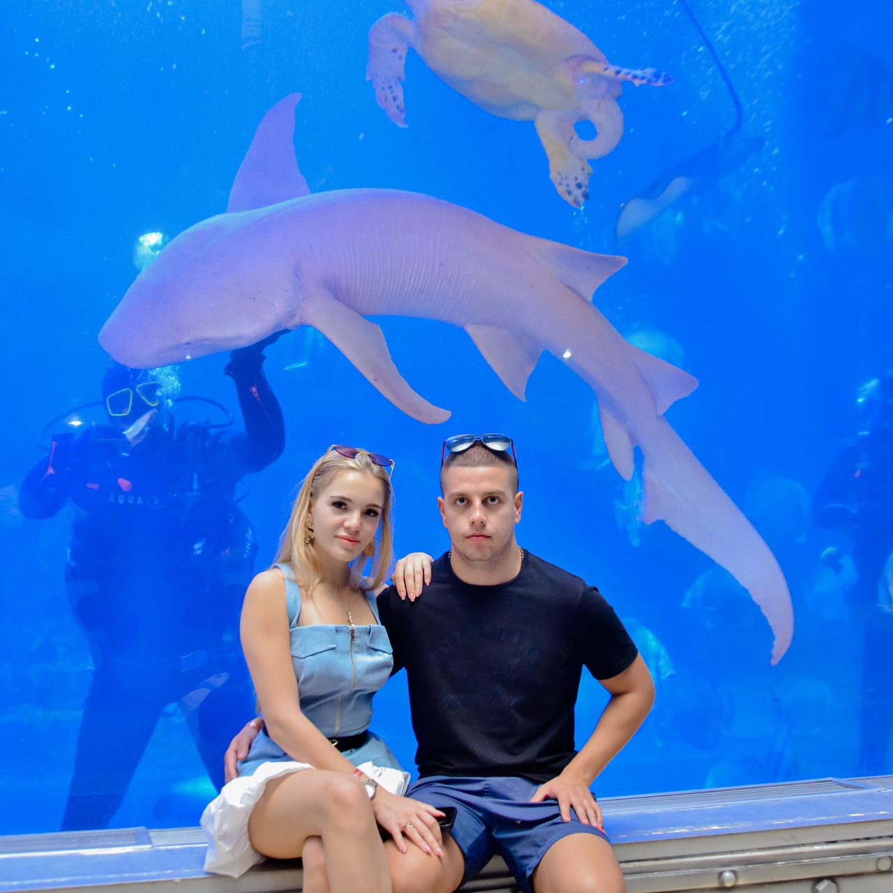 Hurghada Grand Aquarium Tour