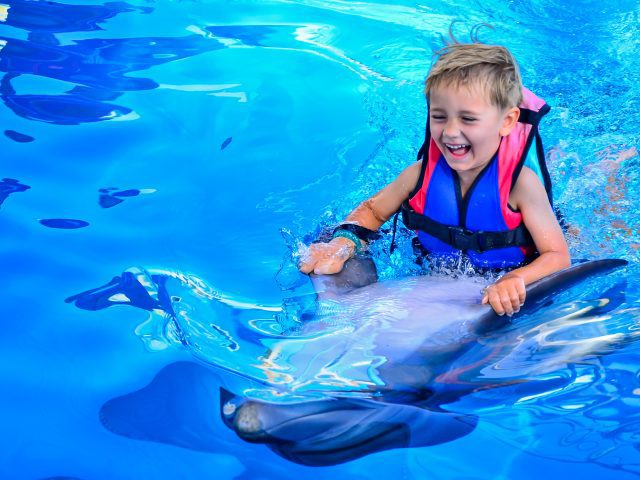 Dolphin World Show in Hurghada