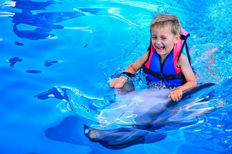 Dolphin World Show in Hurghada