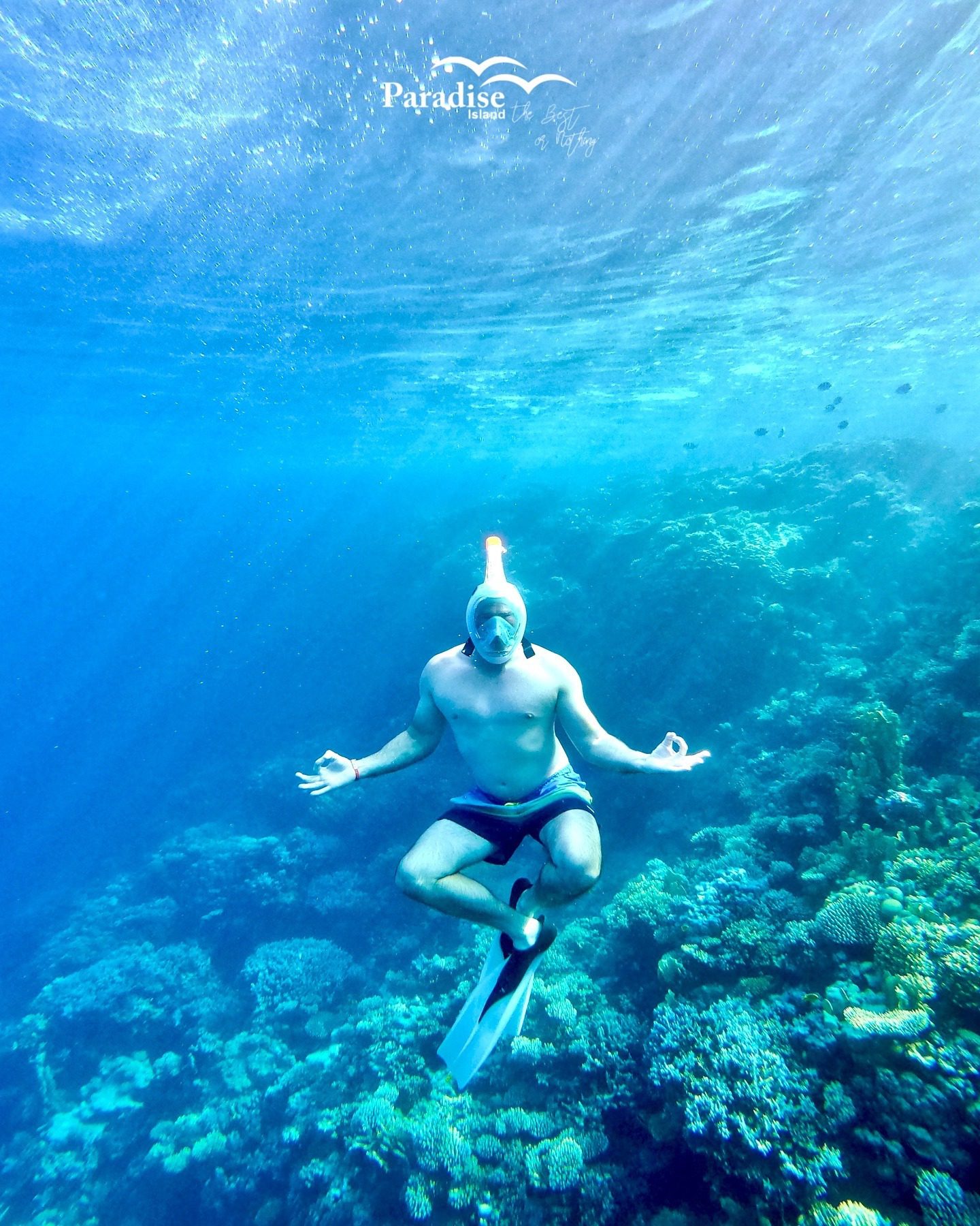 561688568_18333116797227154_2372039000533835948_n