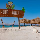 Hula-hula
