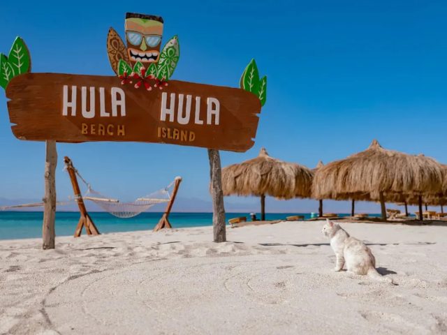Hula Hula Island Snorkeling Tour