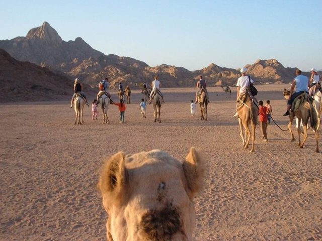 Fun Desert Safari in Hurghada