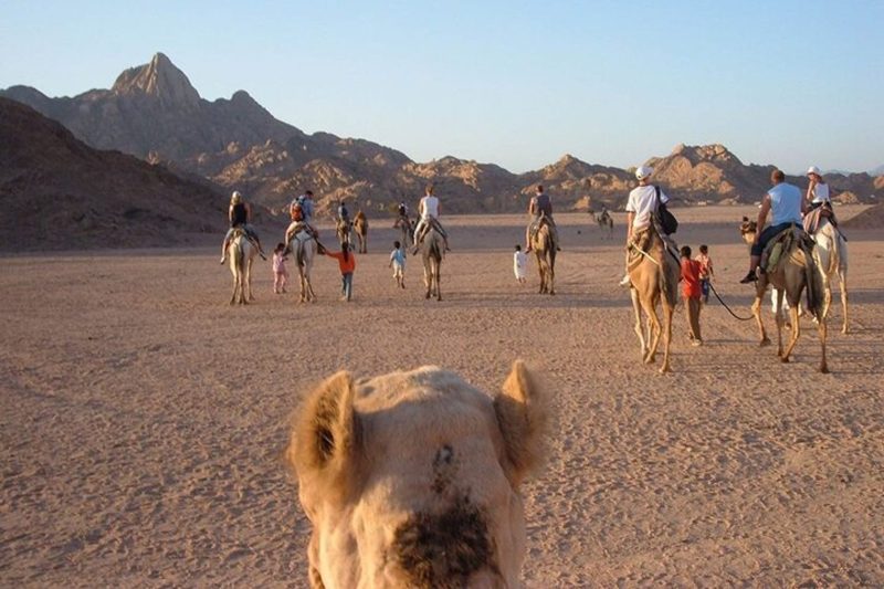 Fun Desert Safari in Hurghada