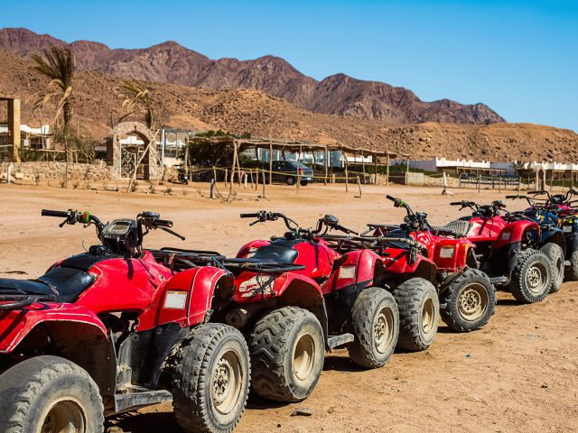 Desert Safari & BBQ Dinner in Hurghada